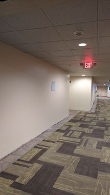 Interior Wall Repair and Painting