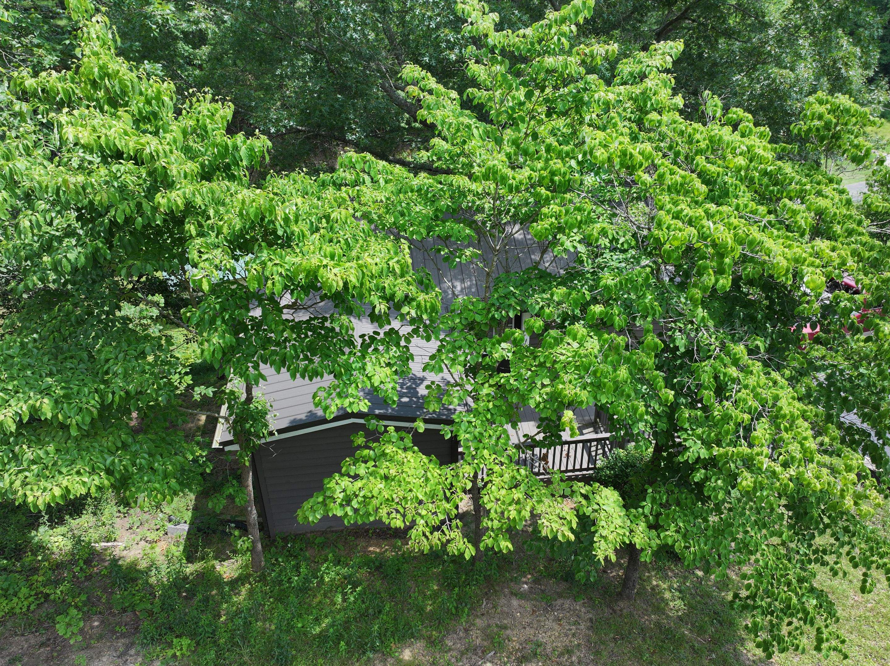 Rice Residence by Omnia Roofing