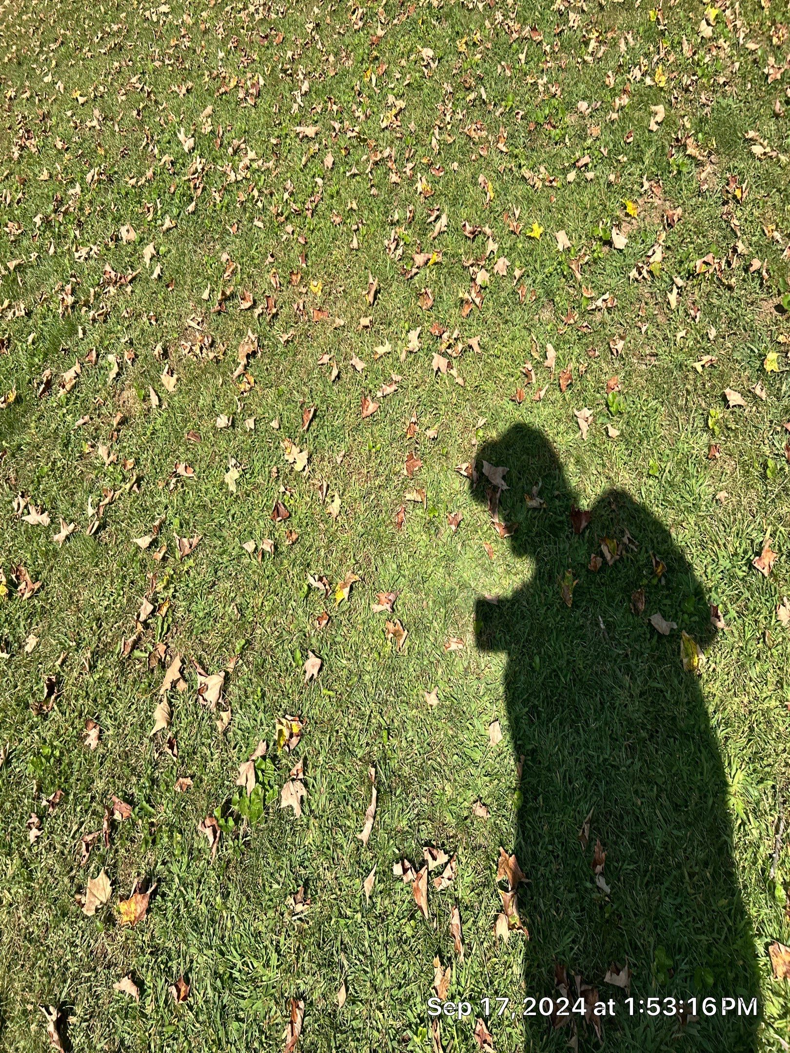 Residential Roofing Installation using Owens Corning TruDefinition Duration AR - Onyx Black by A Plus Exterior