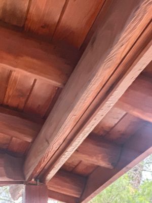 Project in Lake Villa