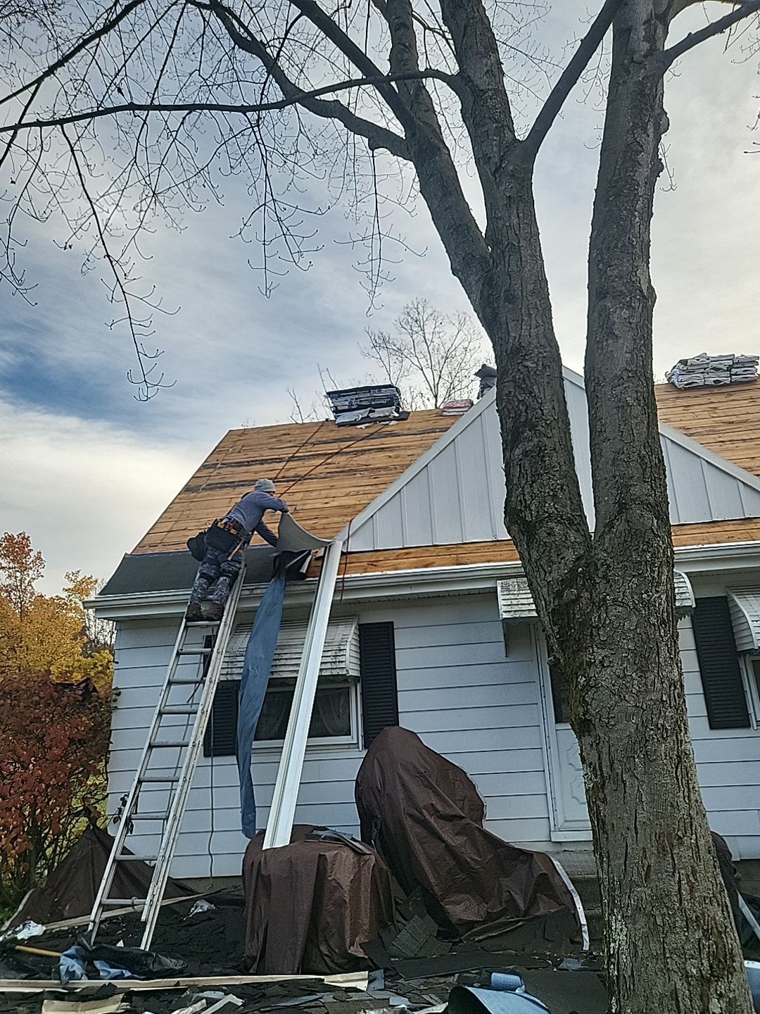 ATLAS PINNACLE COLOR: BLACK SHADOW DRIP EDGE: WHITE by Eagle Eye Roofing