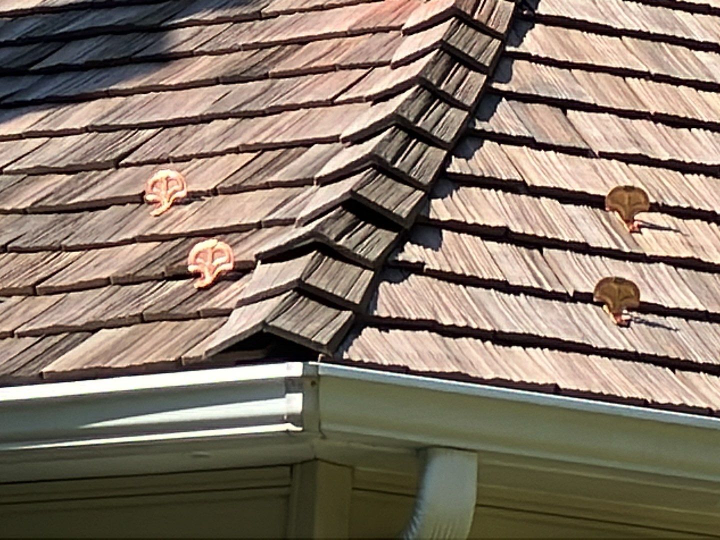 Fairfax Brava roof by American Custom Contractors