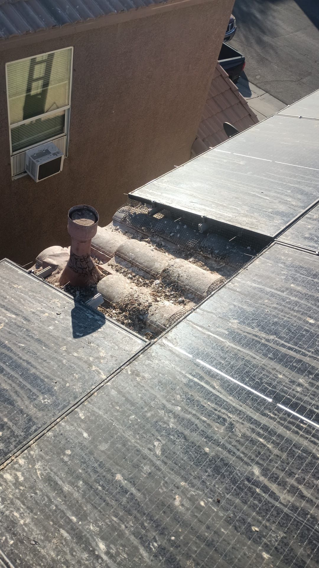 Excessive pigeon problem  by Solar Honest Cleaning 