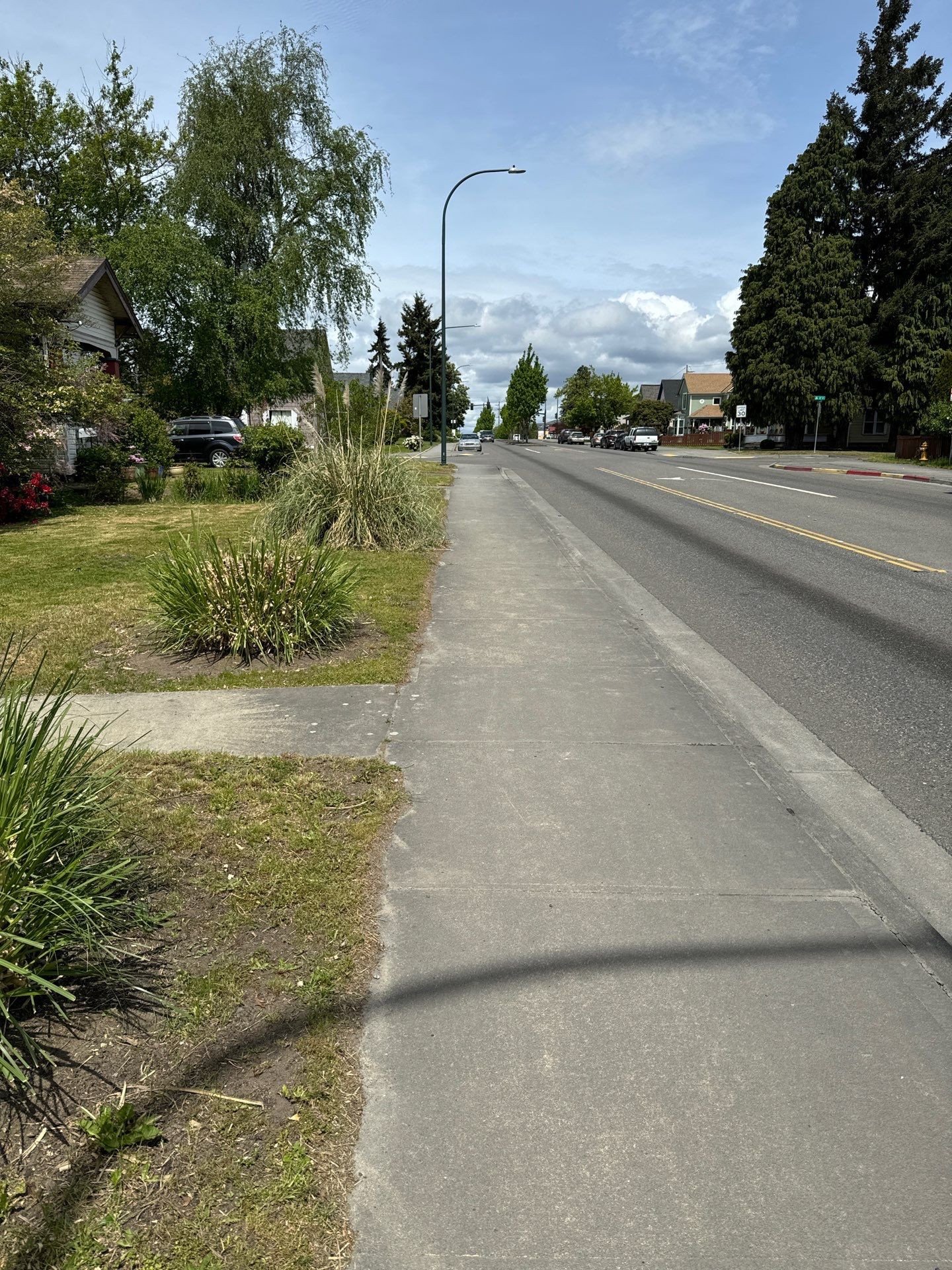 Project in Everett by Peaks and Valleys Construction