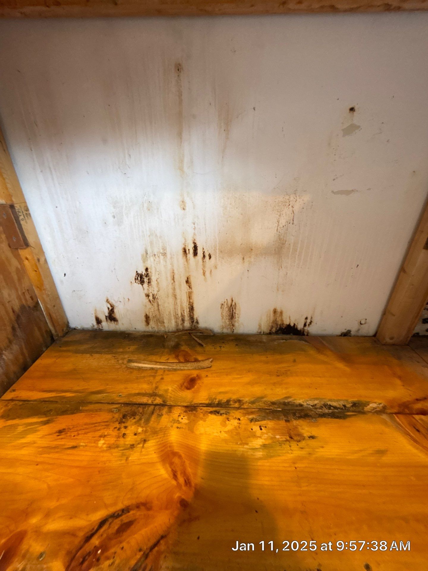 Remediation Of Mold by Ampm Restoration Services