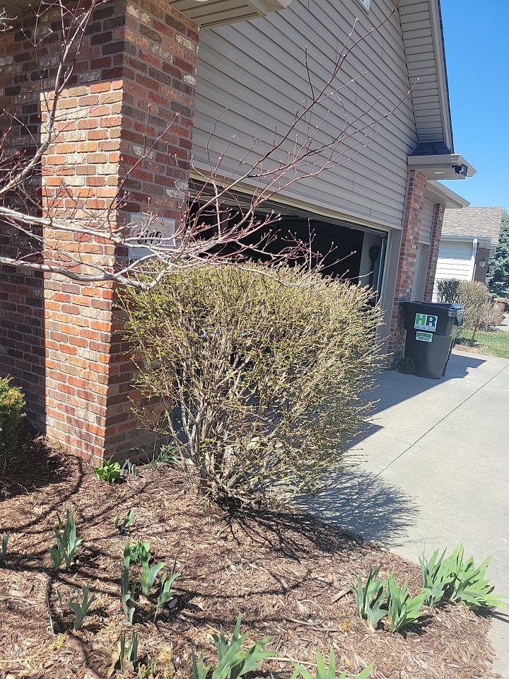 Landscape upadates. by New Horizon Landscapes
