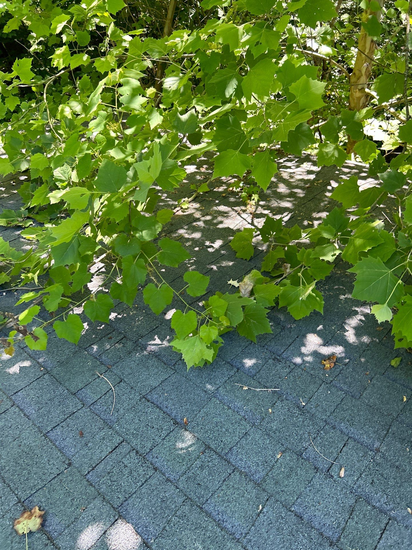 Residential Roofing Installation using Timberline HDZ Shingles - Charcoal by RoofX 