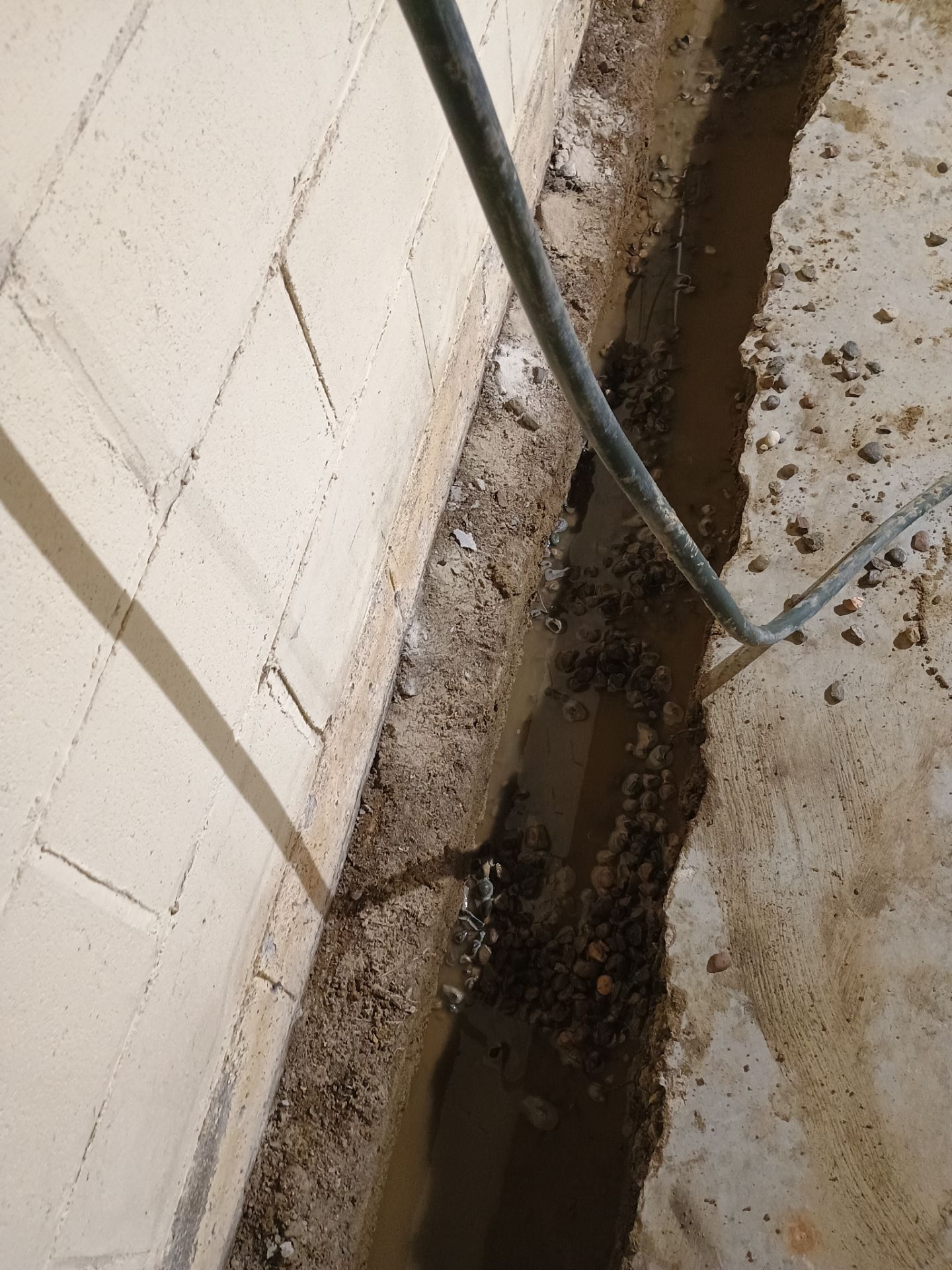 Drain Tile & Sump Pump for Kassie's Rental Property by Waterproofing Northeast