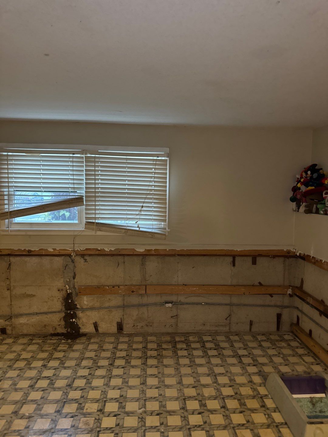 Mold Remediation Project by Chicagoland Water Medics
