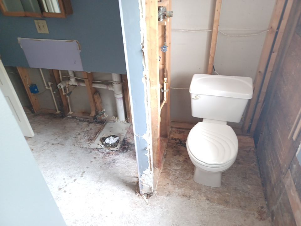 Project in Croswell by EzDry Water Mitigation & Property Restoration