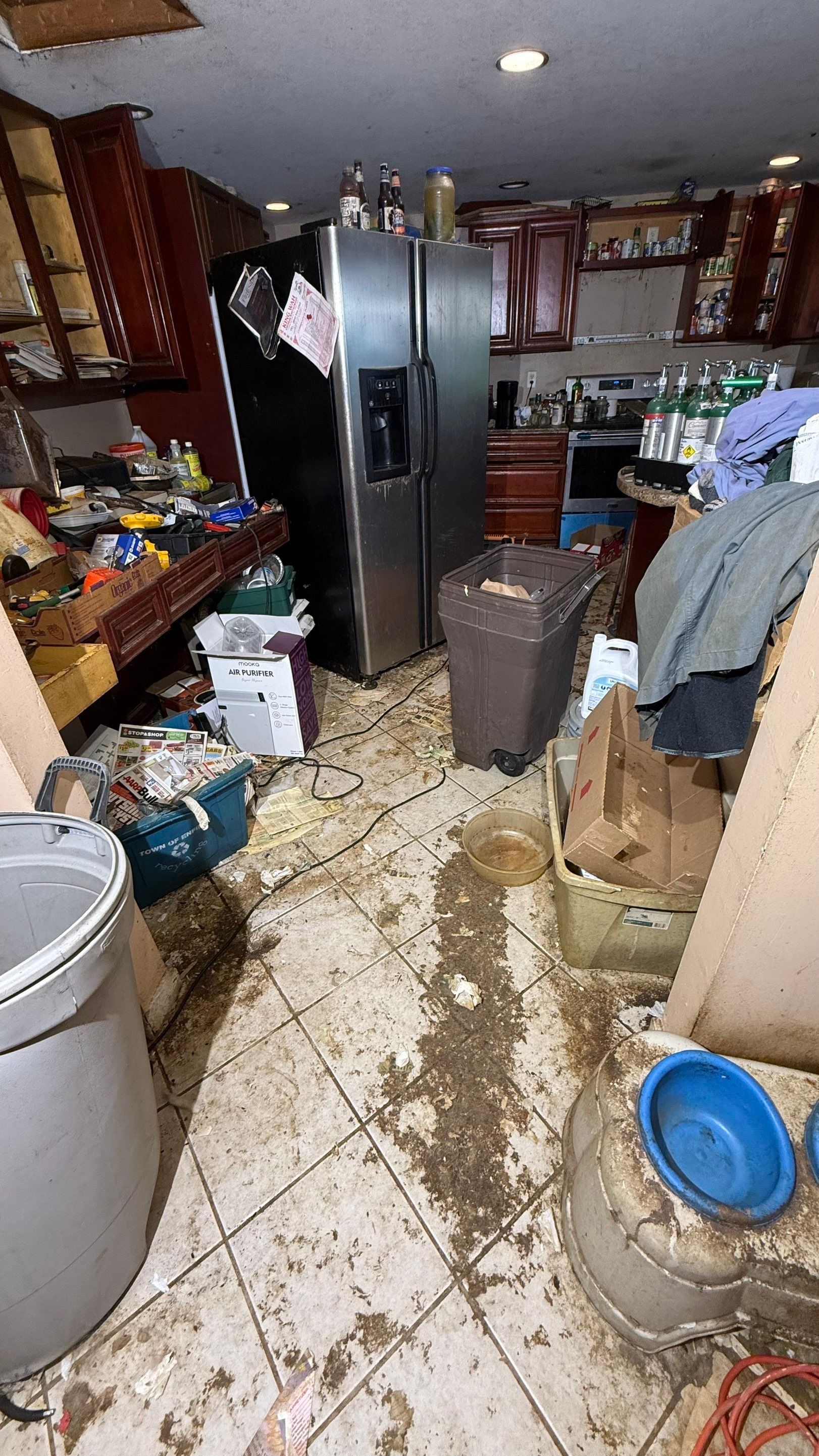 Biohazard Hoarding Cleanup / Animal Feces & Urine Remediation in Preston by Sadie’s Pro Cleaning