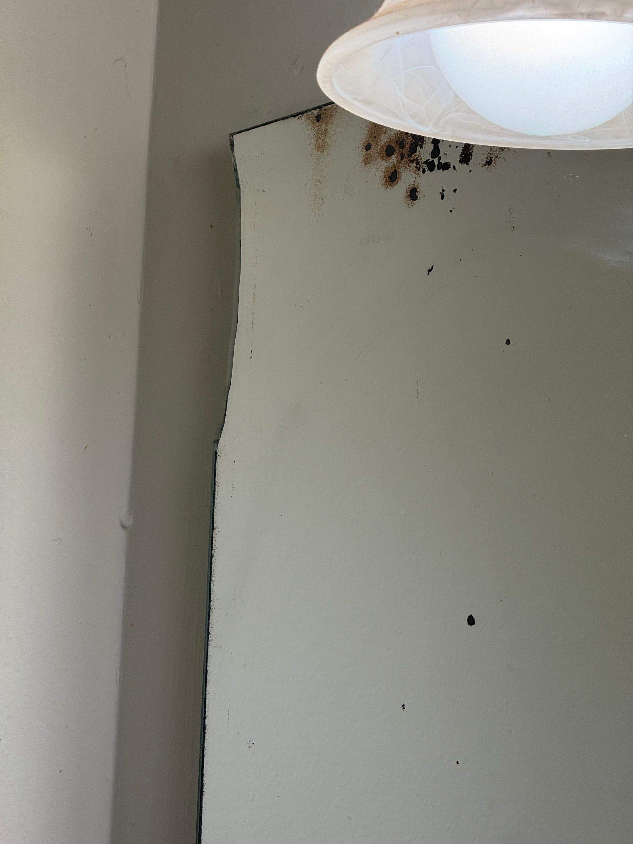 Project in Springfield by Restoration Doctor