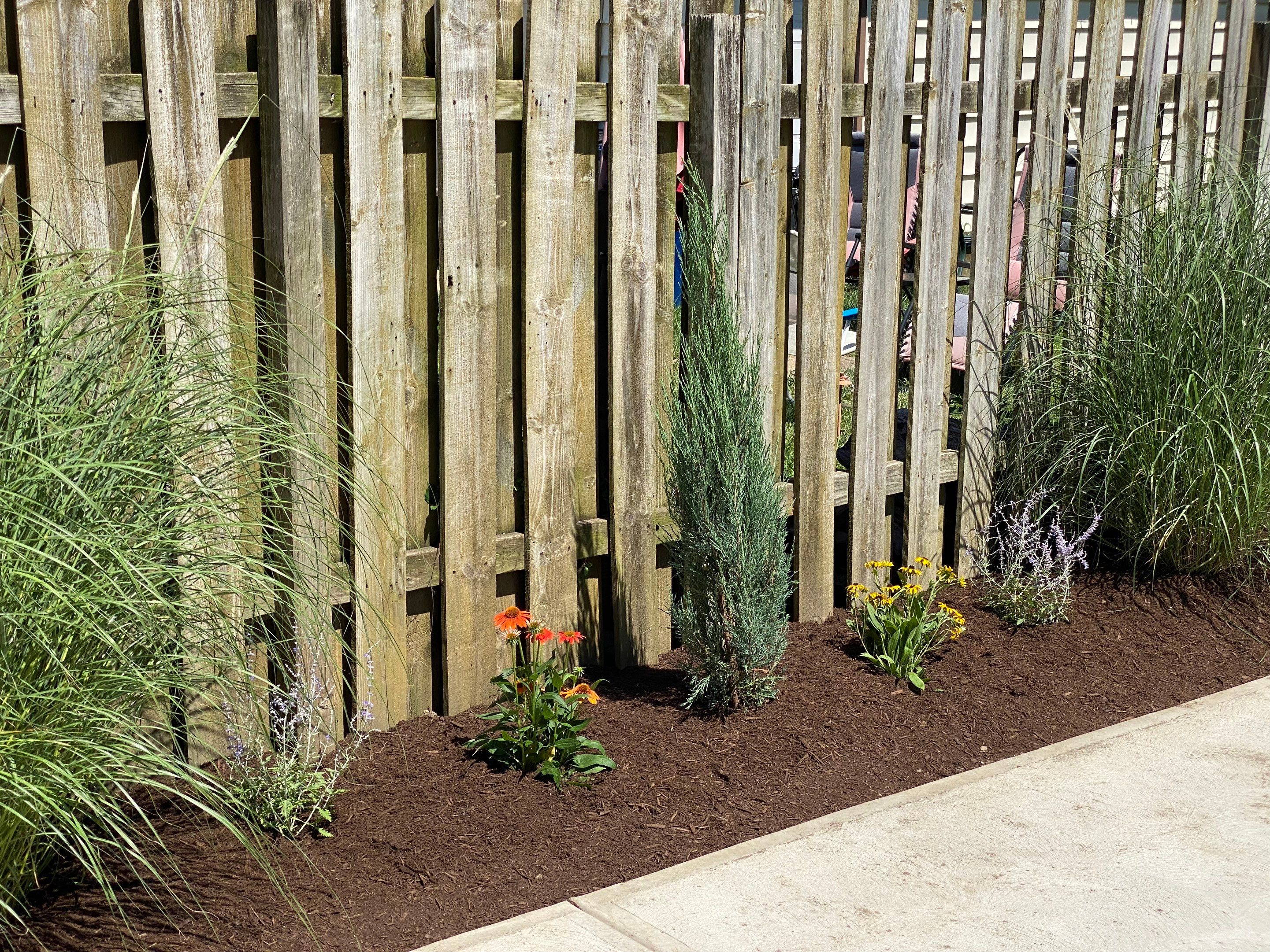 Green Fenceline Install by Elm Rose Gardens