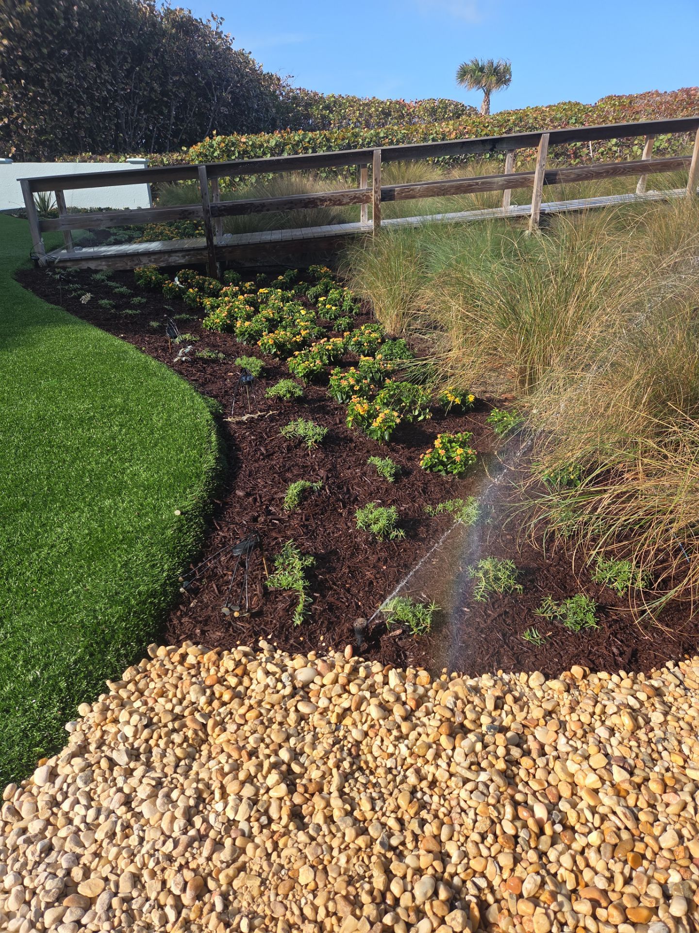 Hutchinson Island Oceanfront Landscape Restoration by Alpha Zeta Enterprises Inc