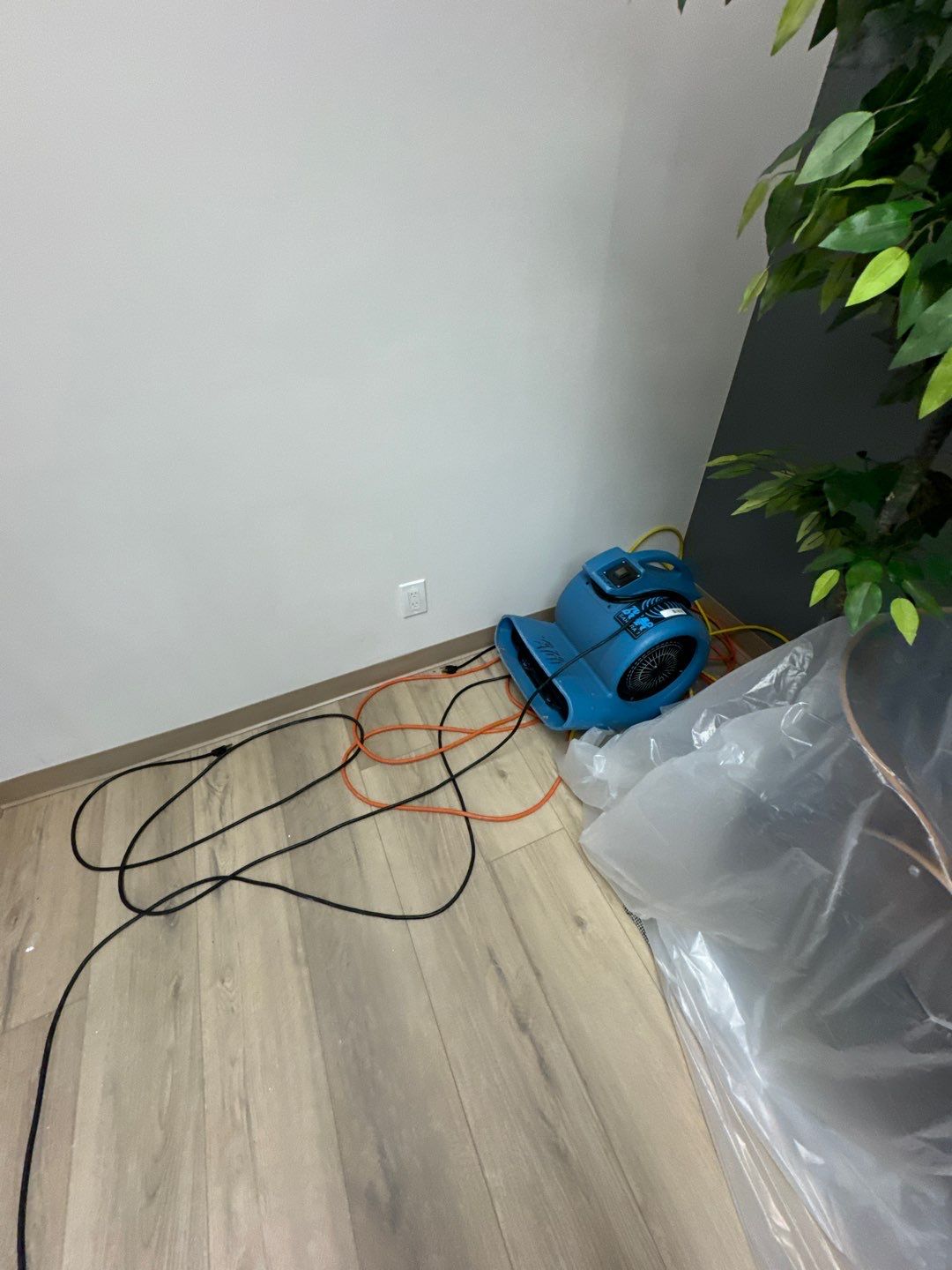 Project in Southfield by EzDry Water Mitigation & Property Restoration