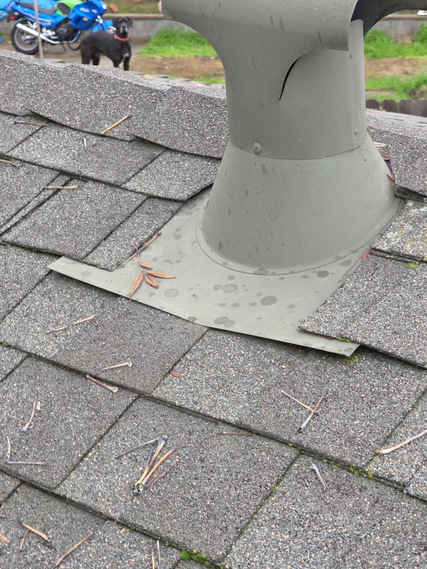 Roof Rejuvenation using Roof Maxx Treatment by Roof Maxx of Folsom