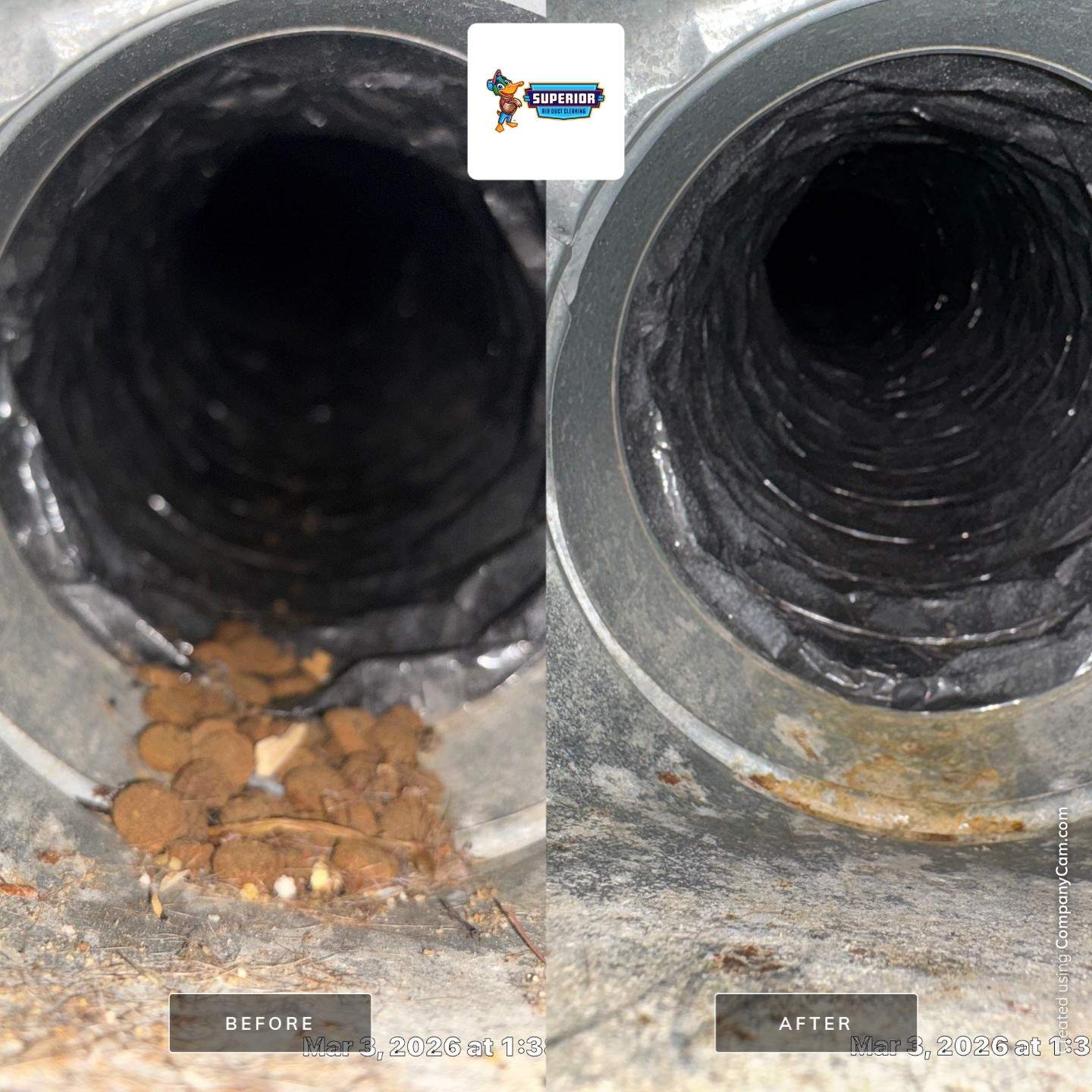 Air Duct Cleaning in Upper St. Clair, PA by Superior Air Duct Cleaning