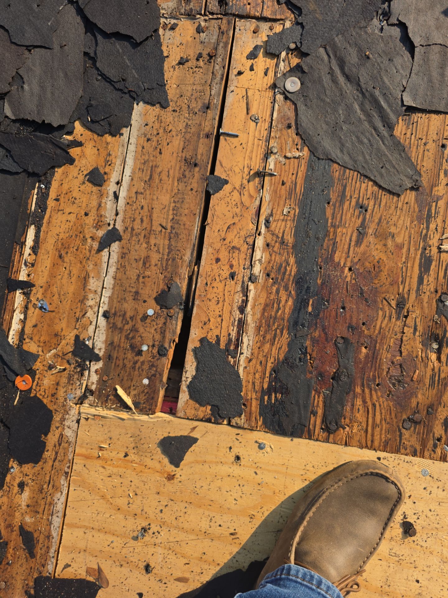 Project in Nederland by SETX Roofing Pros 