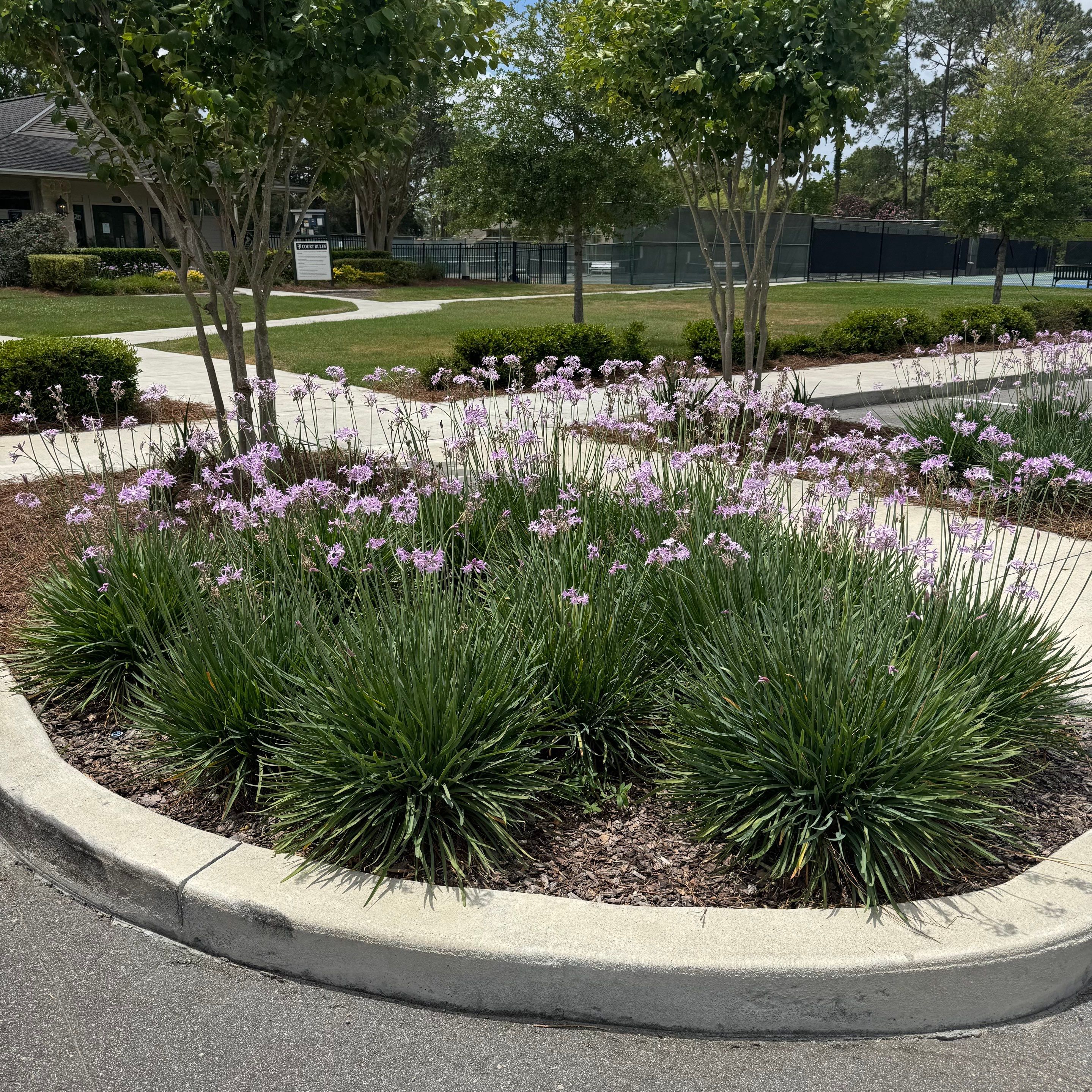 Tennis Complex | Deerwood Community by ProGreen Services