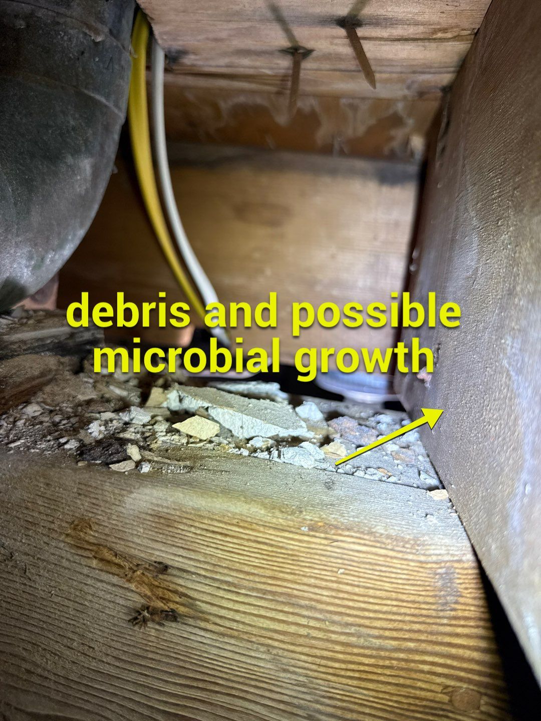 Post‑Remediation Clearance Test & Corrective Mold Remediation, Dover, DE. by Healthy Home Solutions