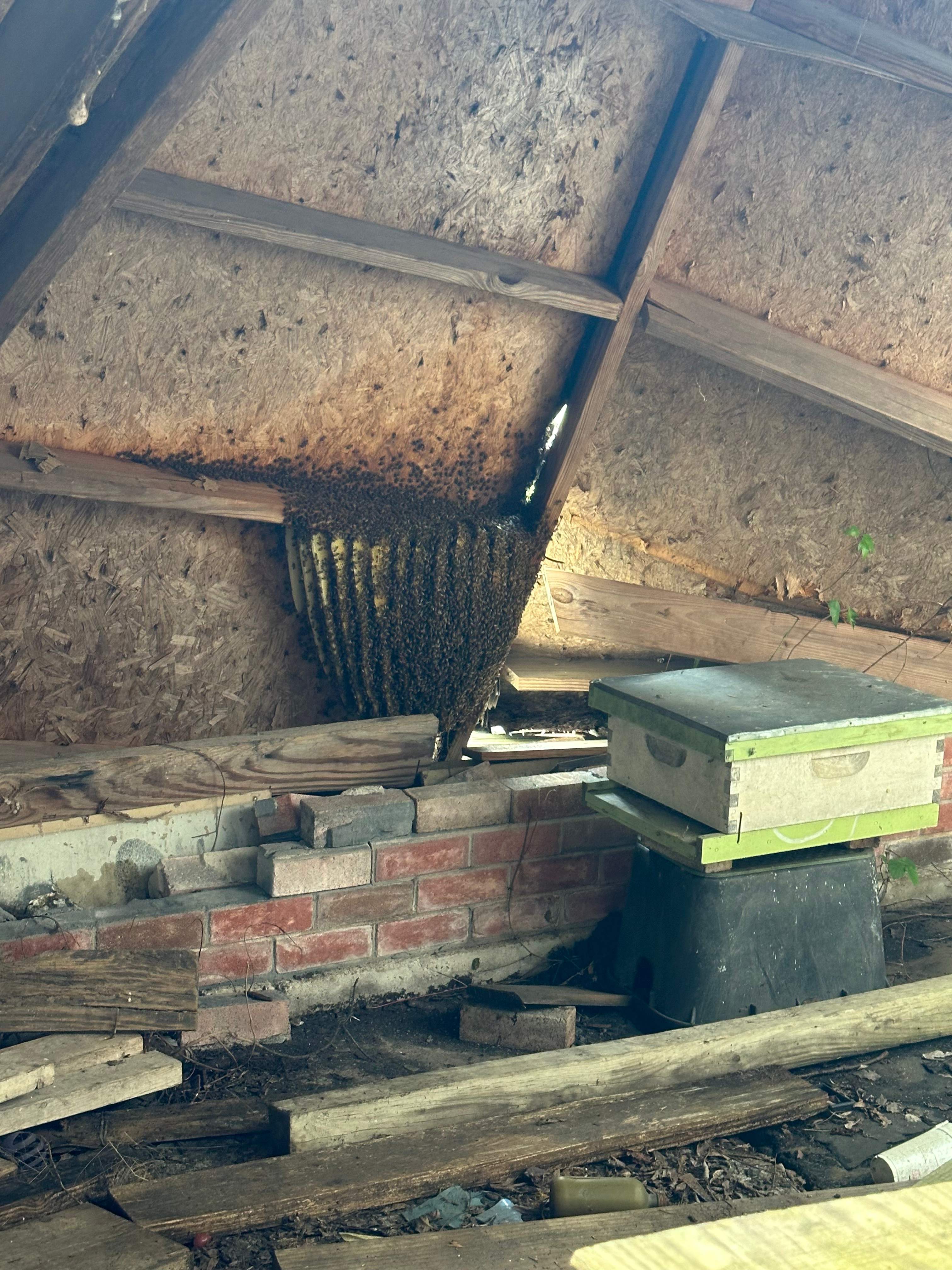 Open Air Garage Beesli by Rockwall Honey Bee Company