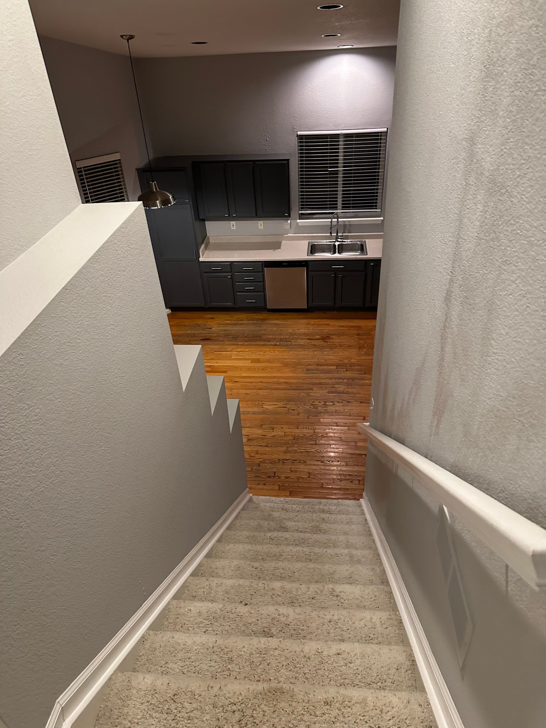Water Damage in Highlands Ranch by Alpha Restoration 