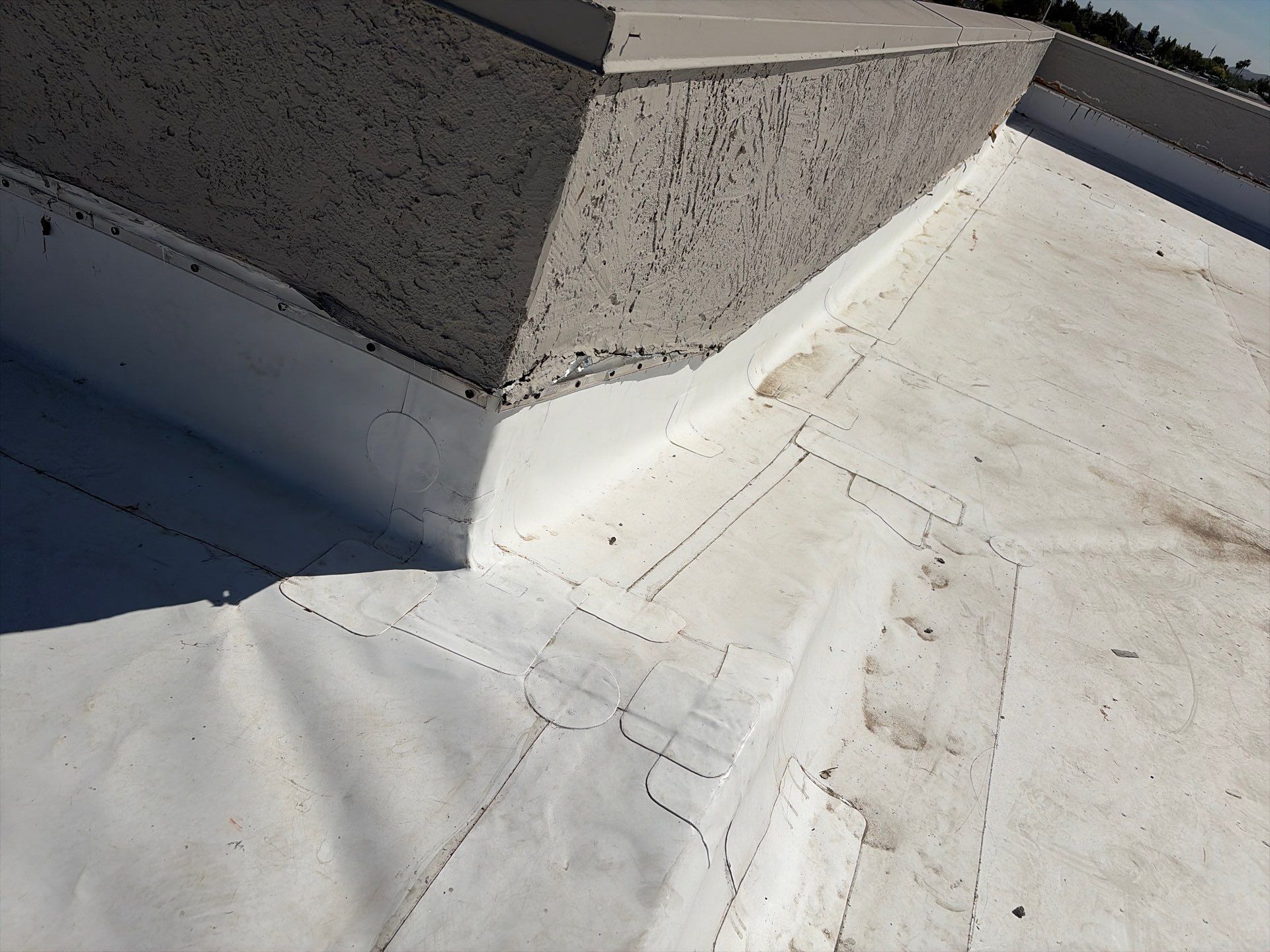 Project in Glendale by Crush Development Services LLC