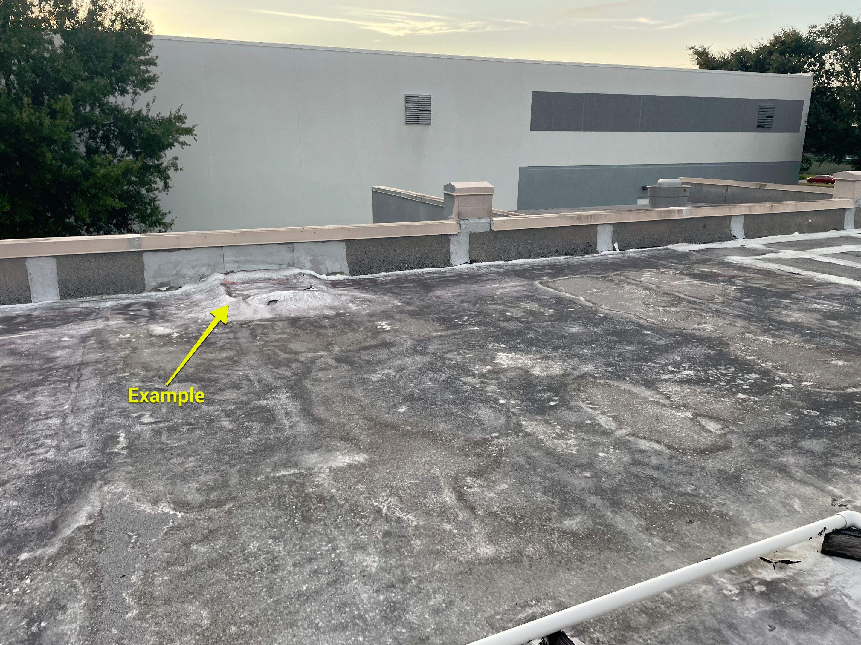 Moisture Report Prior to Roofing. by FLORIDA ROOF CONSULTING & INSPECTION SERVICES