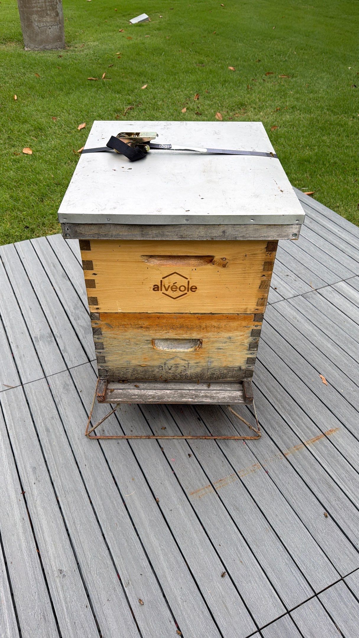 Platform Precious Population by Rockwall Honey Bee Company