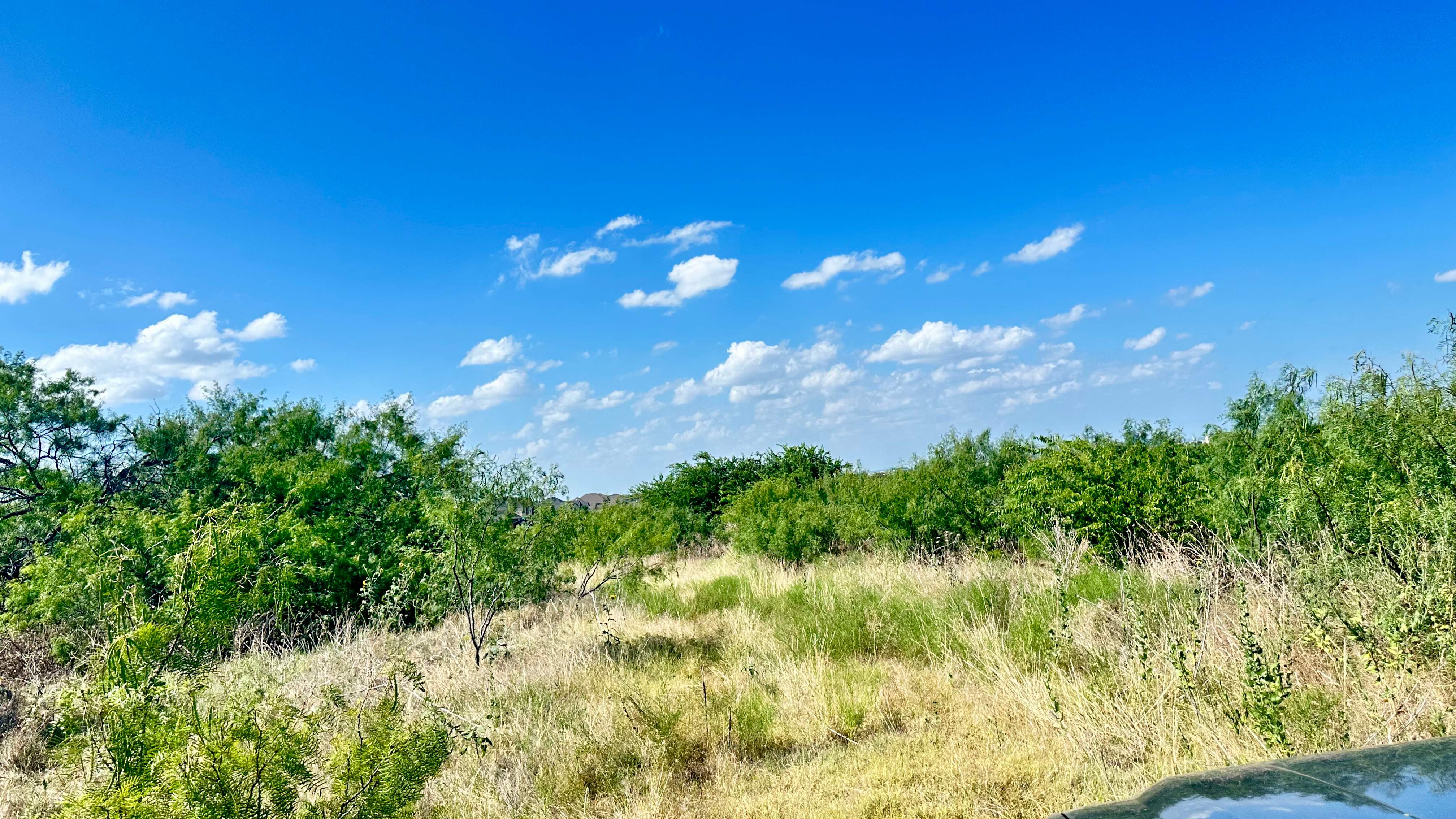 Well Meter by Rockwall Honey Bee Company