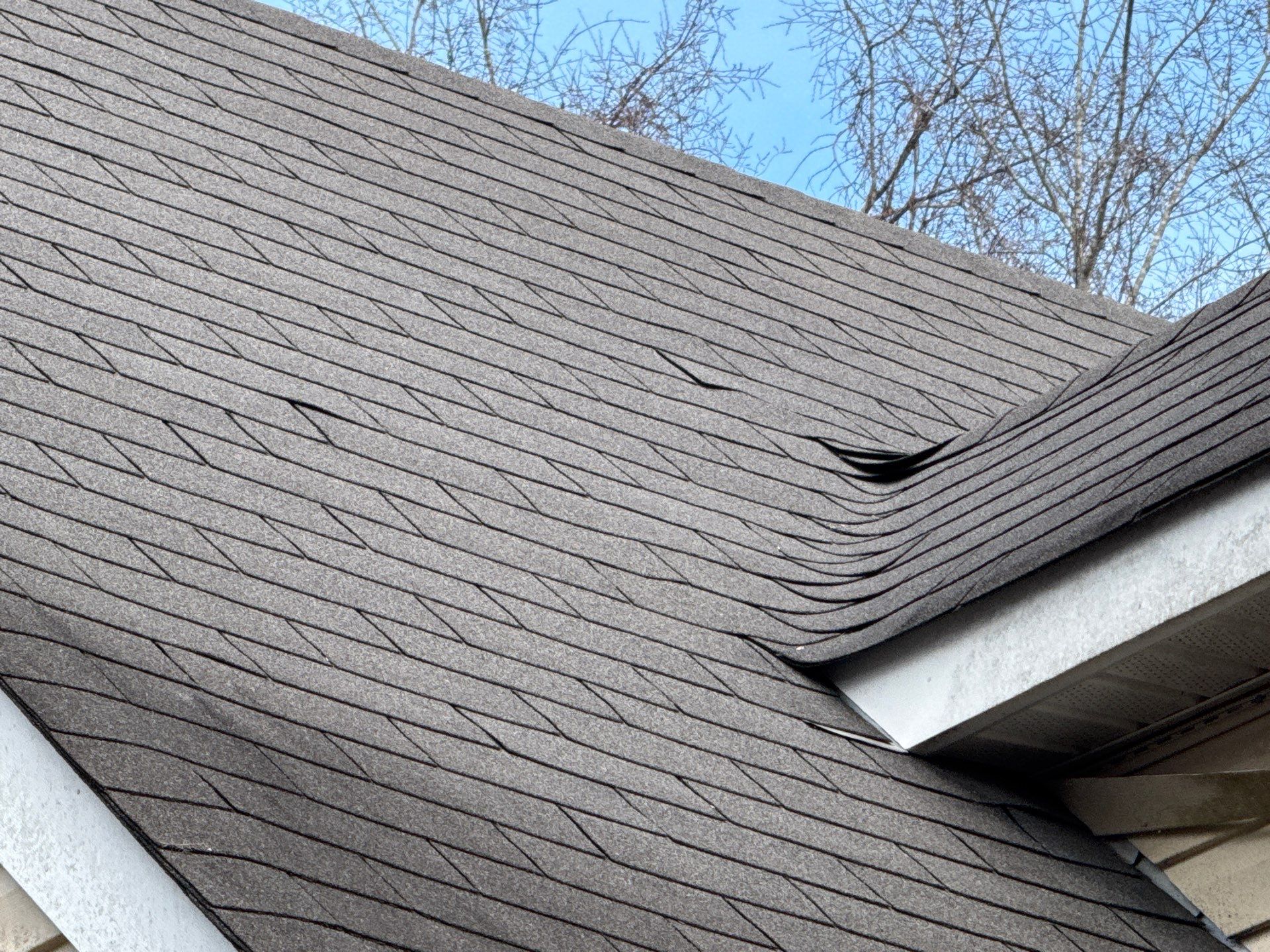 Gloucester Exterior Overhaul with Navy Blue Siding and New Roof by Cade Construction