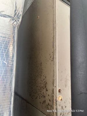 Water Damage using Drying Equipment