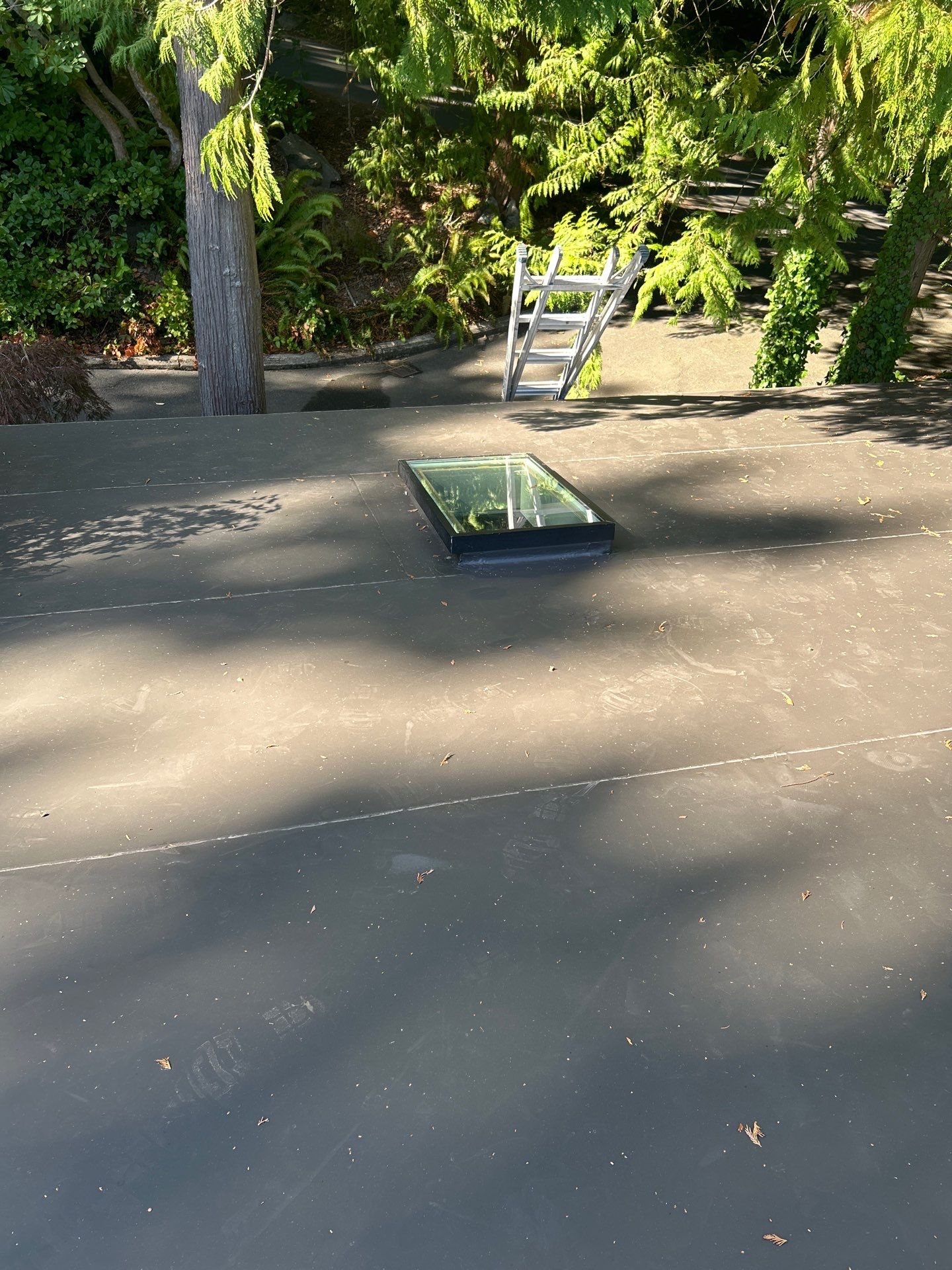 Project in Seattle by Peaks and Valleys Construction
