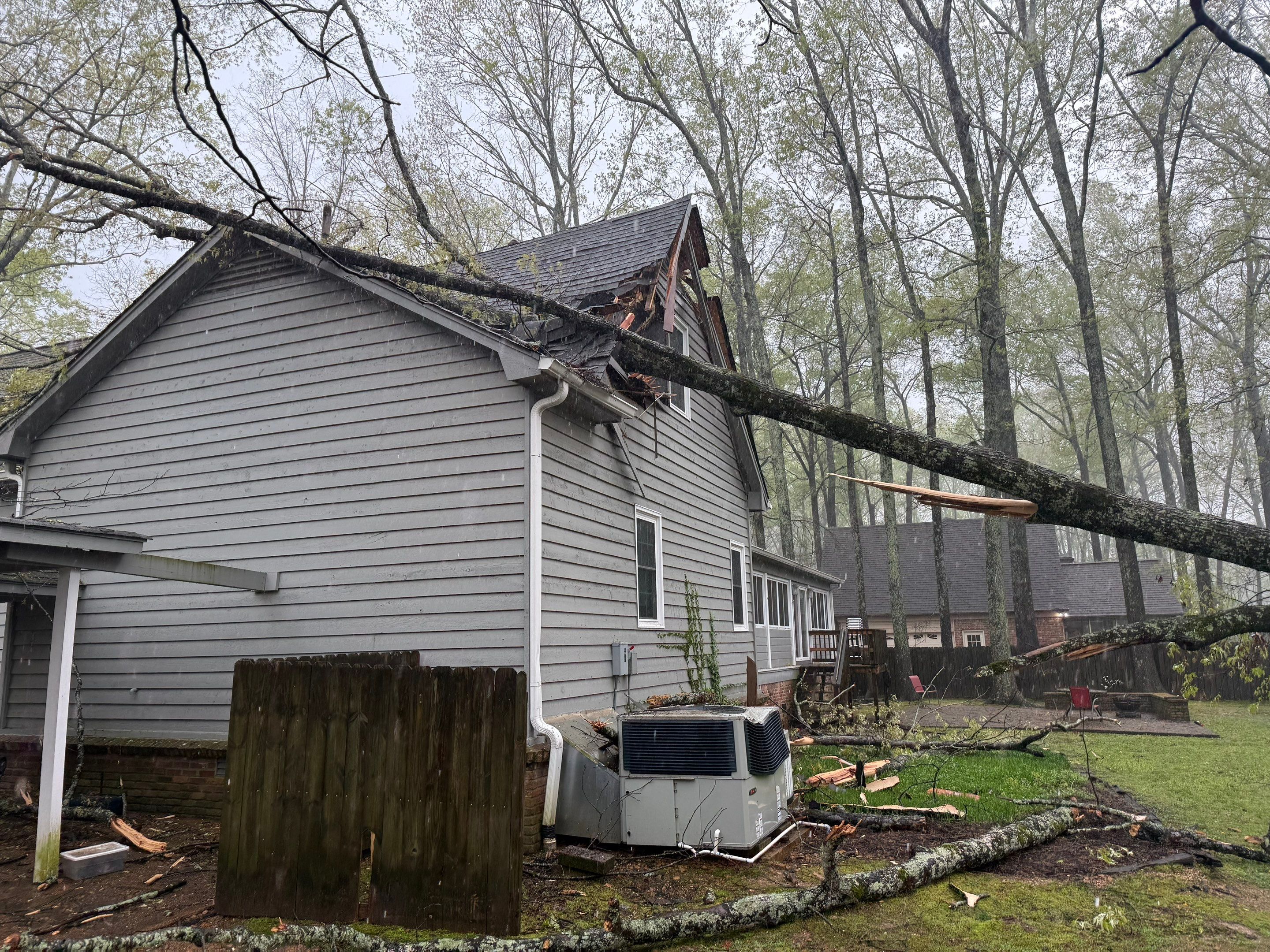 Collierville Roof Replacement Following Major Tree Impact Damage with interior repairs by Revival Roofing Services