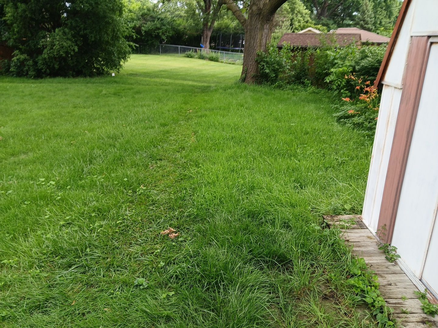 Justin M. - Mount Prospect, IL by A&N 