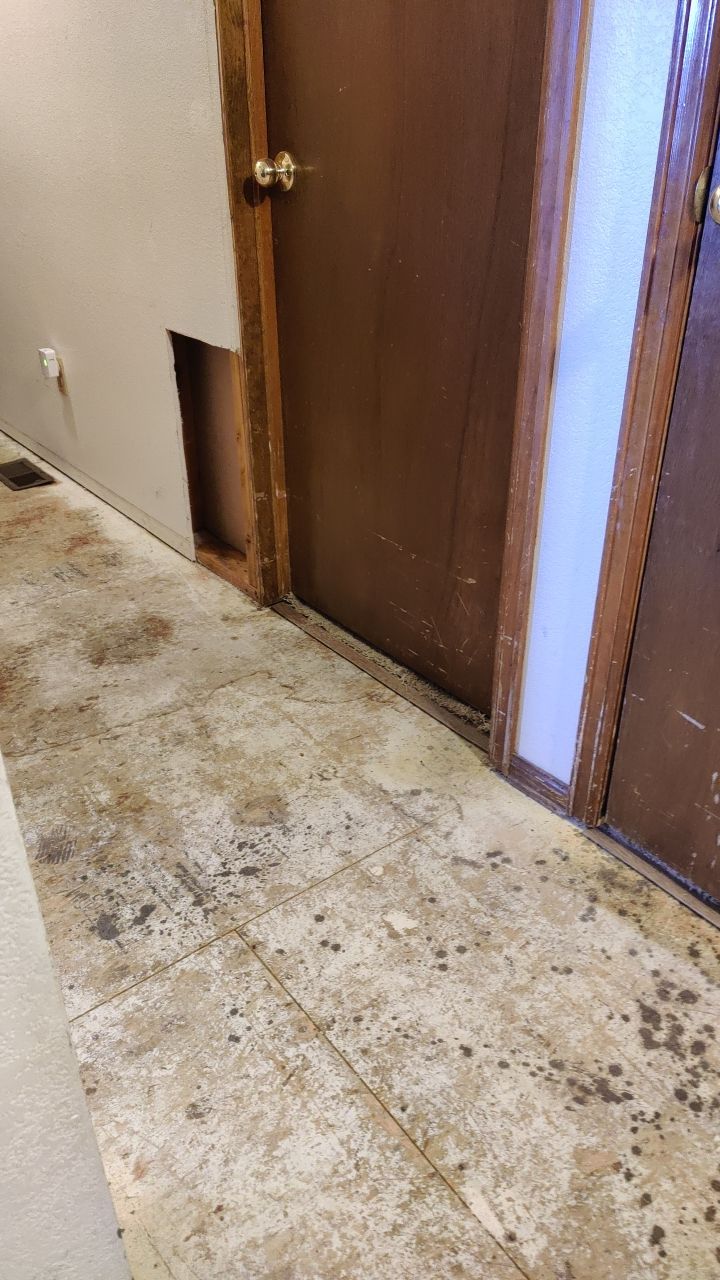 Water Damage  by Accountable Home Services