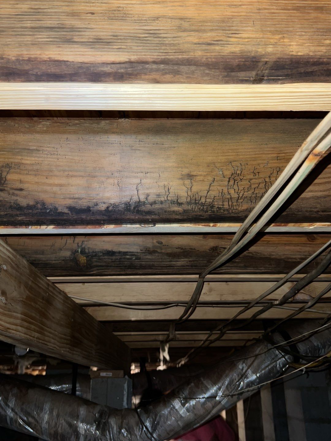 Dehumidifier and Moisture Barrier install with Structural repairs. by Impact Crawlspace