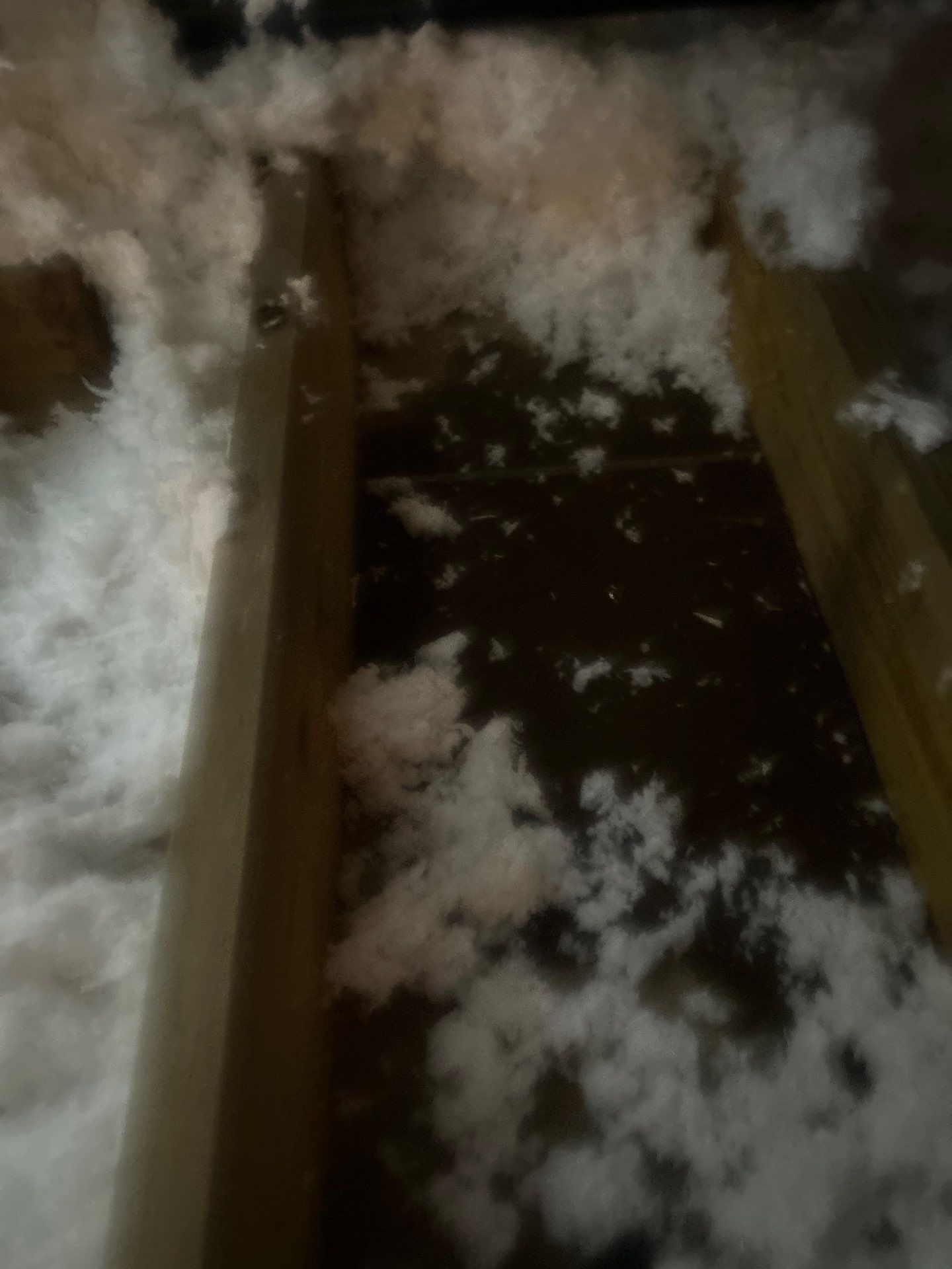 Hail Damage using Owen's Corning Duration (Lifetime) Shingles by Roof Repair Company