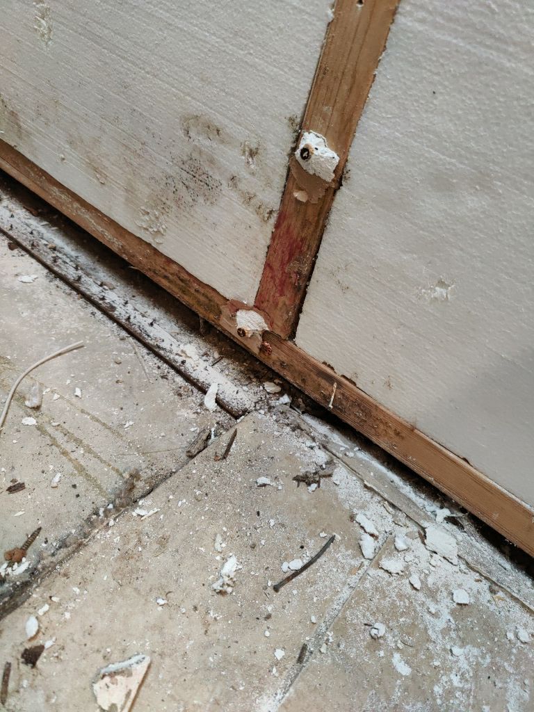Mold Remediation by Accountable Home Services