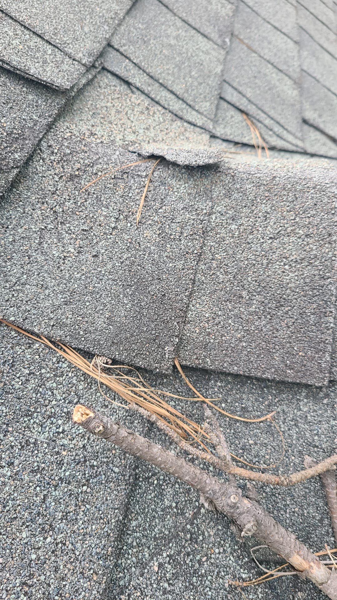 Hail Damage using Owen's Corning Duration (Lifetime) Shingles by Roof Repair Company
