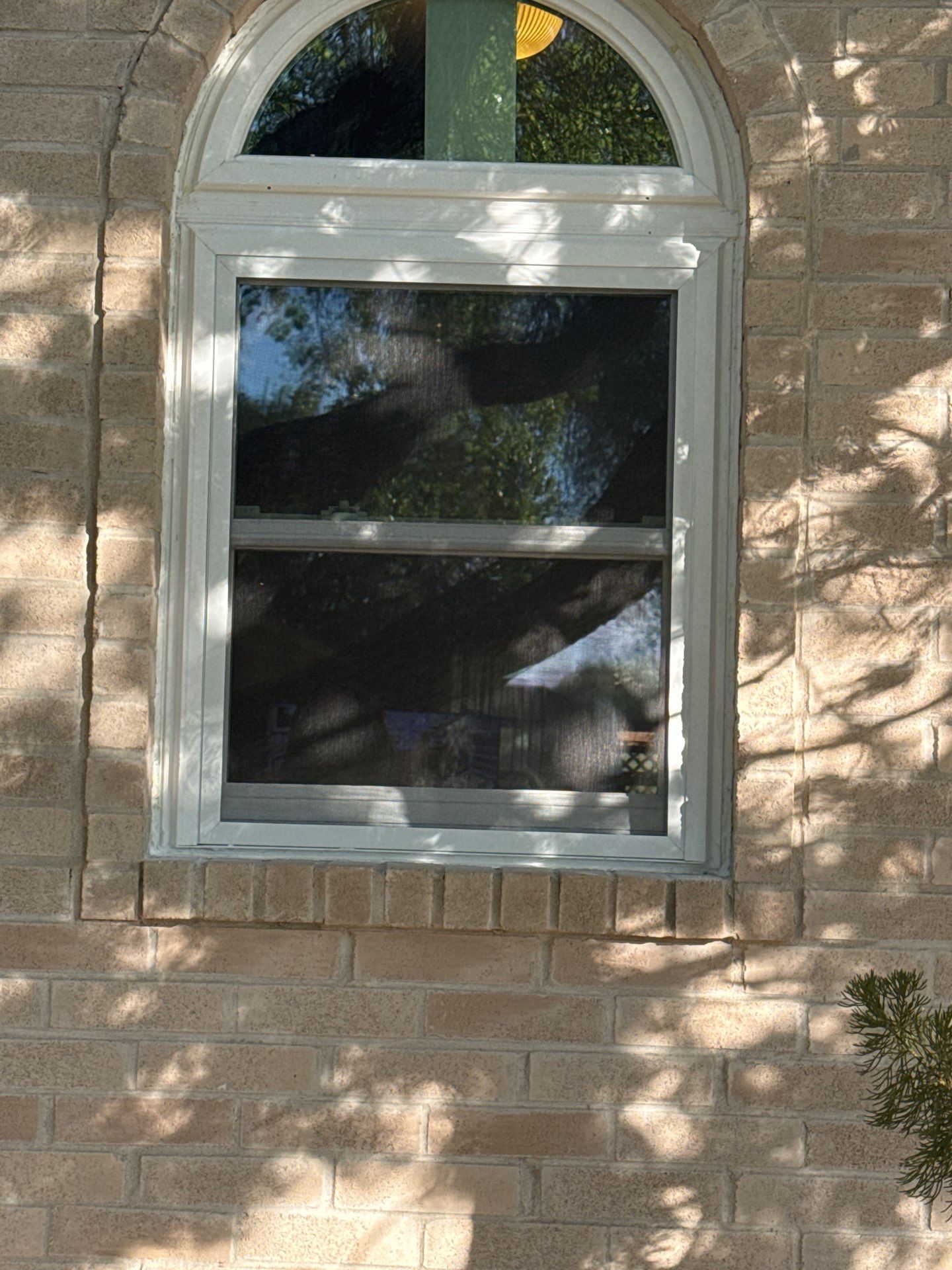 Make that Green, Baby! by Bayfront Roofing and Construction