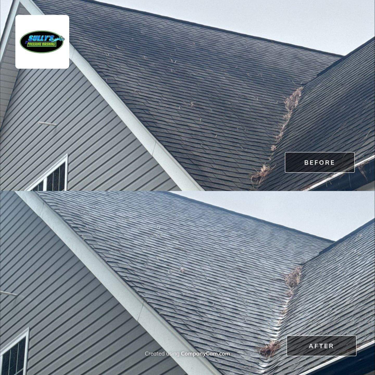 the service being done is roof washing removing debris and dirt from the shingles for enhanced appearance and protection