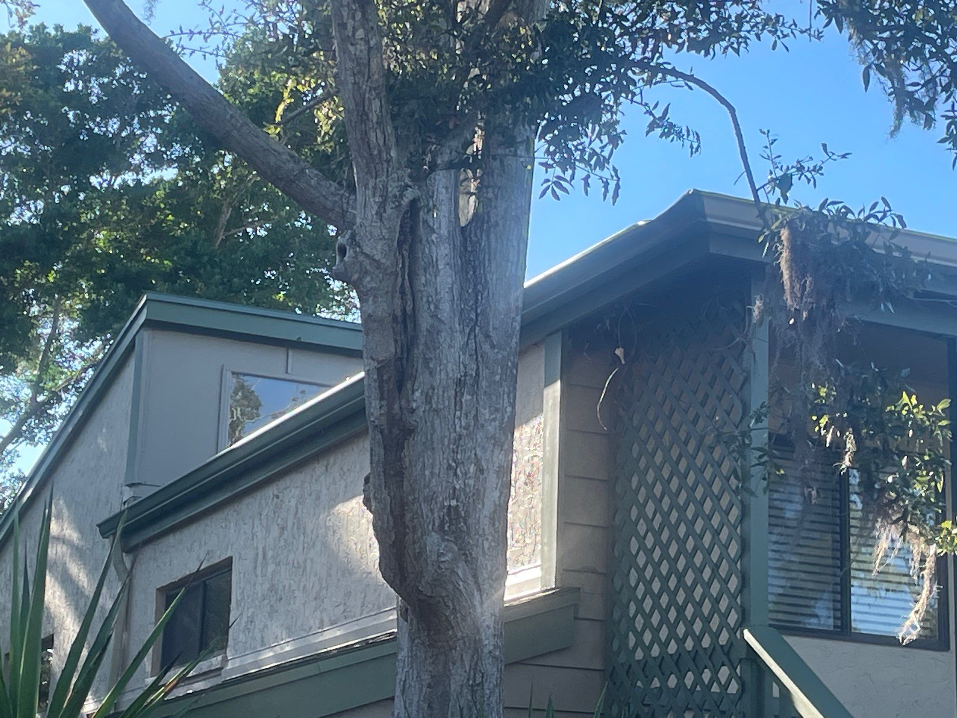 White Gutters Repair and Installation in Sarasota FL by Gutter Professors
