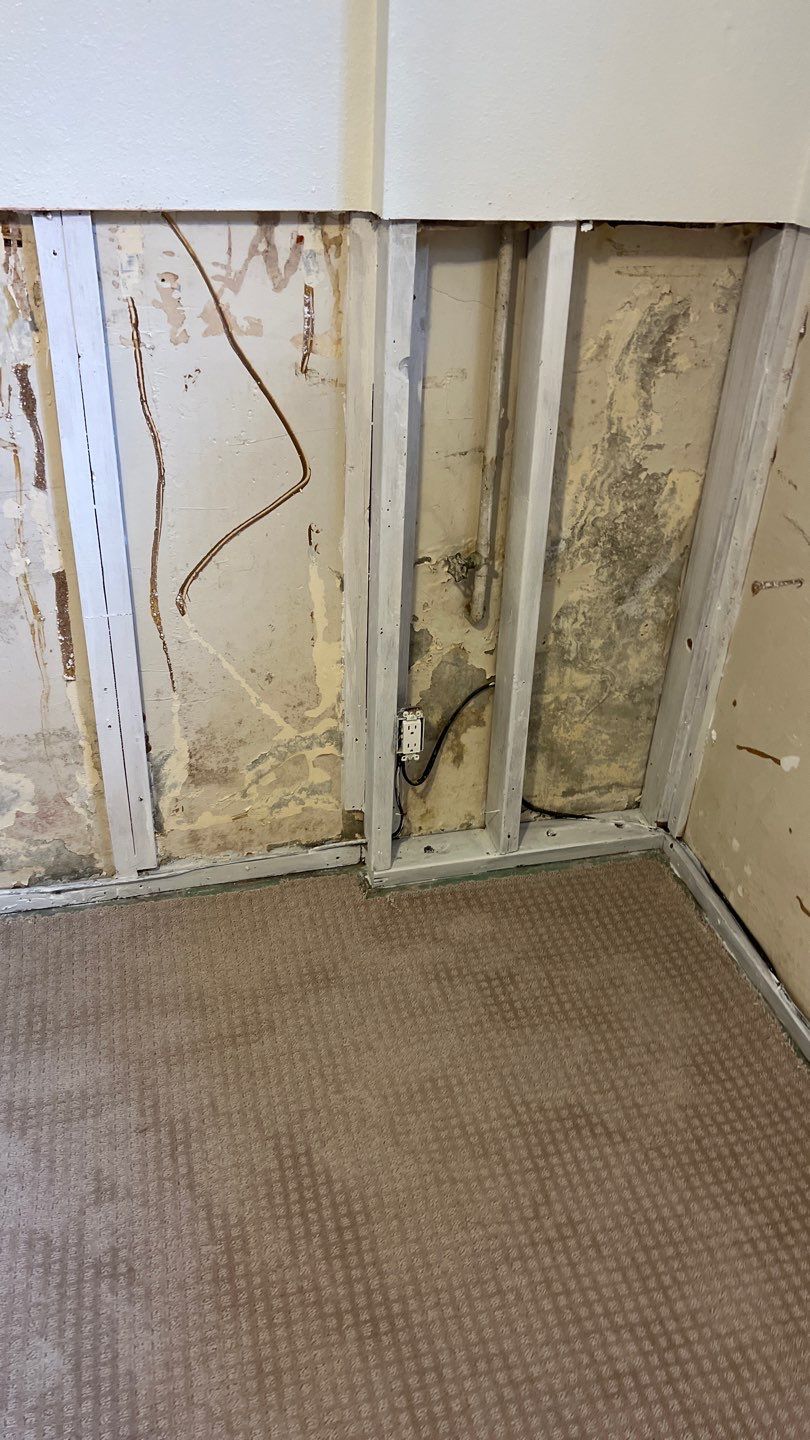 Mold Remediation by Accountable Home Services