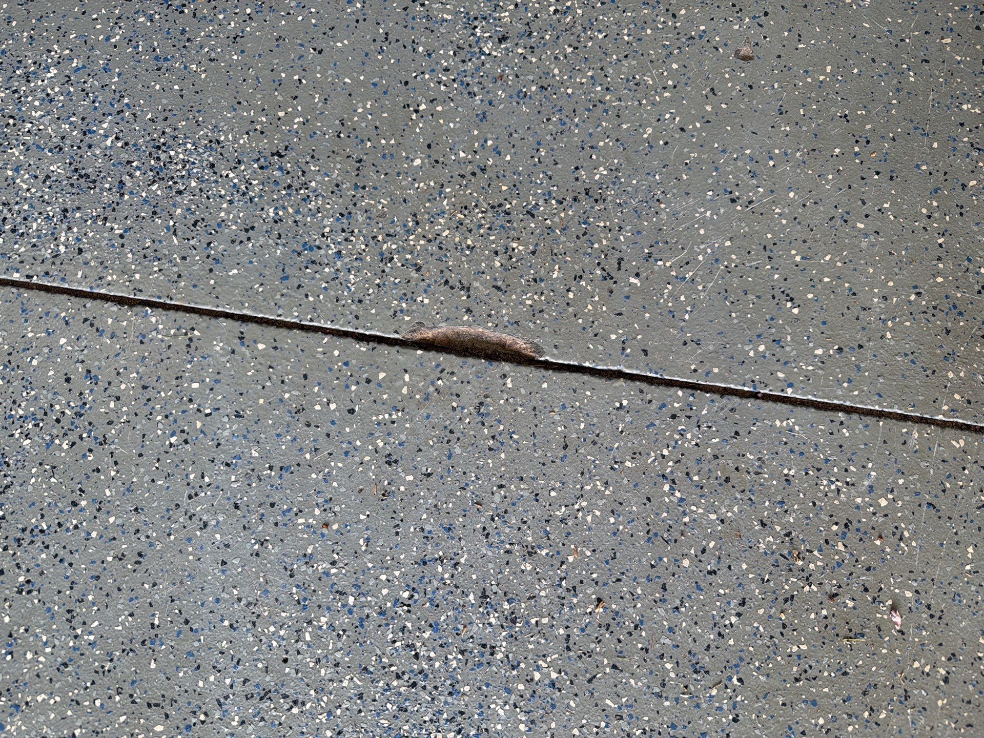 Residential Garage Floor Coating in Sioux Falls by Select Painting, Coatings & Garage Cabinets