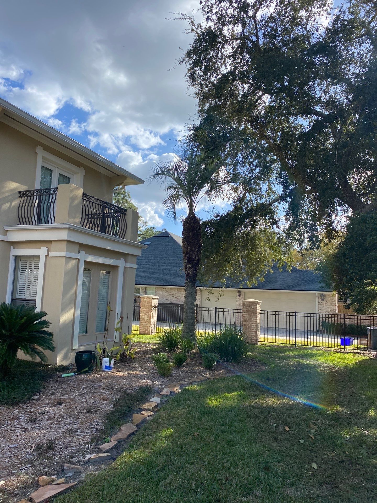 Deerwood Resident | Tree Removal & Palm Trimming by ProGreen Services