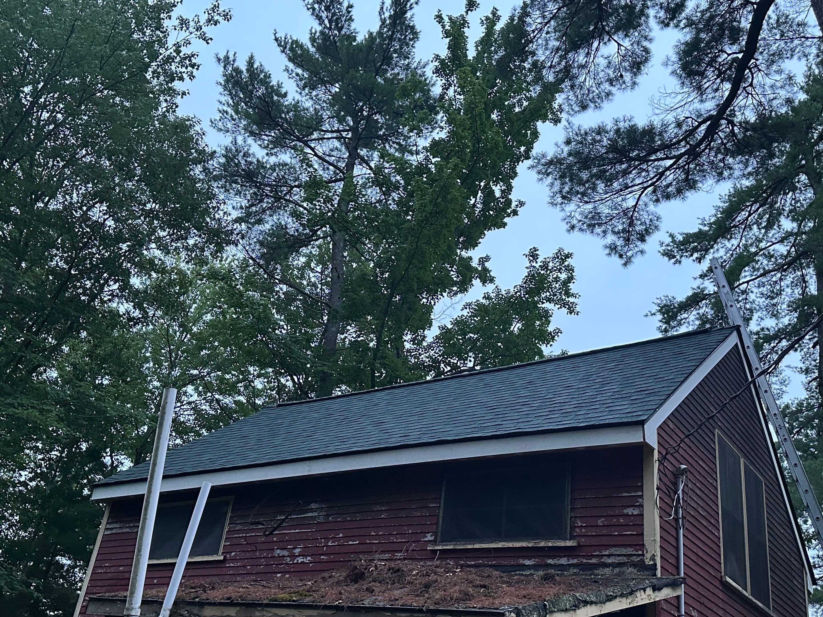 🏠🌲 Residential Roof Replacement | Falmouth, Maine by Tall pine roofing