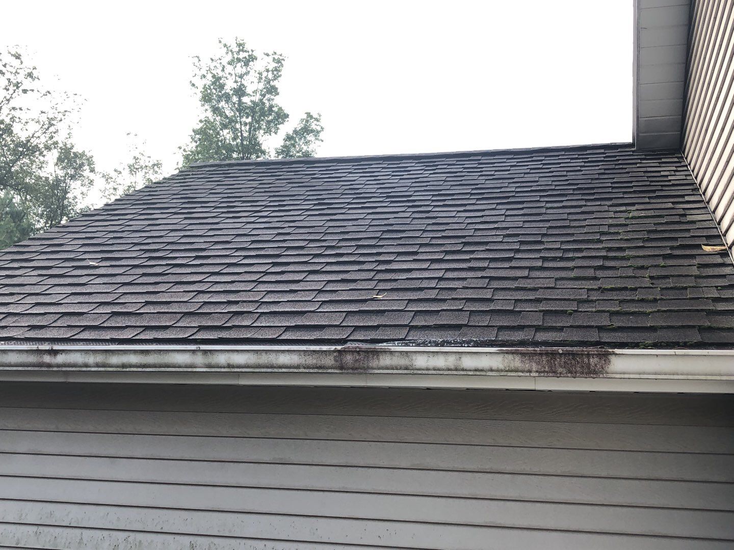 Ed Sebak by Silver Leaf Contracting 