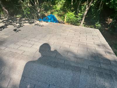 Project in Willis