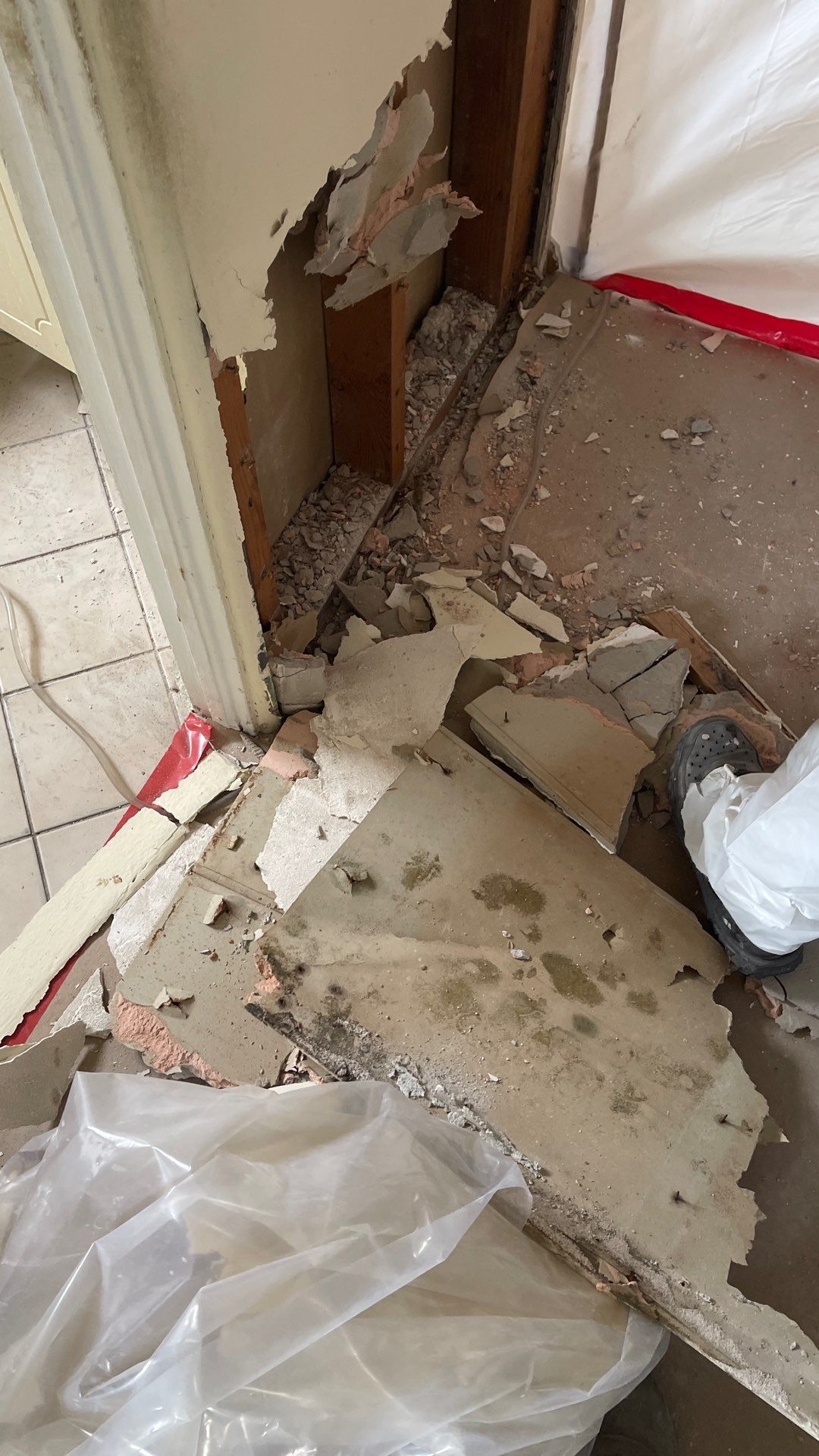 Mold Remediation  by THE RAPID TEAM